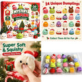 Mystery dumpling advent calendar ￼